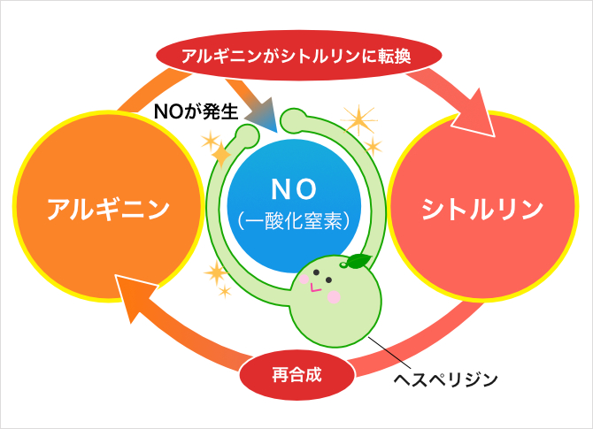NO（一酸化窒素）の分解を抑制