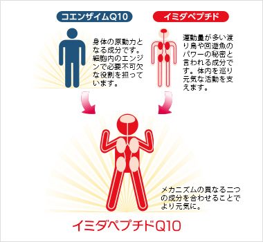 二つのメカニズムで更なる元気を